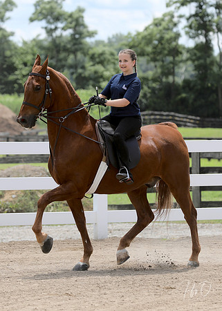 6/24/2018 CCEC Horse Show & Open House | Sunday Early Afternoon Classes