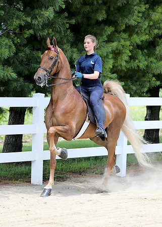 6/24/2018 CCEC Horse Show & Open House | Sunday Early Afternoon Classes