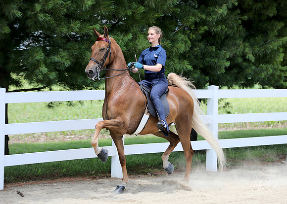 6/24/2018 CCEC Horse Show & Open House | Sunday Early Afternoon Classes