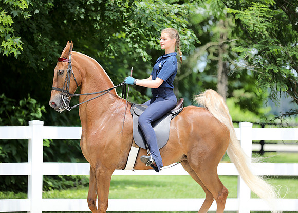 6/24/2018 CCEC Horse Show & Open House | Sunday Early Afternoon Classes