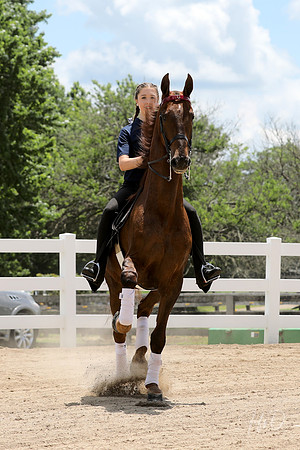 6/24/2018 CCEC Horse Show & Open House | Sunday Early Afternoon Classes