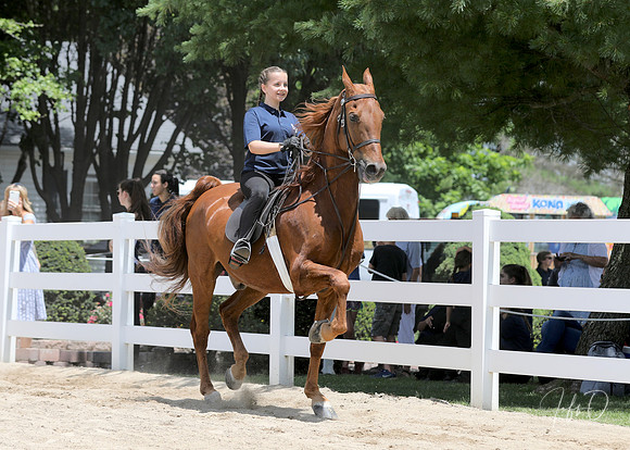 6/24/2018 CCEC Horse Show & Open House | Sunday Early Afternoon Classes