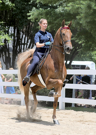 6/24/2018 CCEC Horse Show & Open House | Sunday Early Afternoon Classes