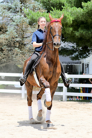 6/24/2018 CCEC Horse Show & Open House | Sunday Early Afternoon Classes