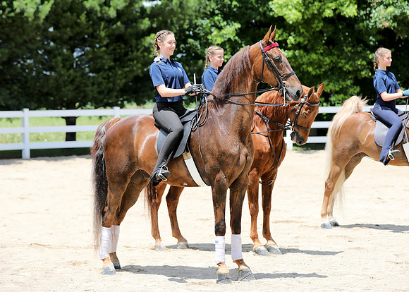 6/24/2018 CCEC Horse Show & Open House | Sunday Early Afternoon Classes