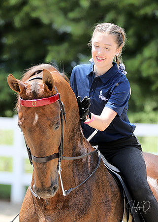 6/24/2018 CCEC Horse Show & Open House | Sunday Early Afternoon Classes