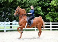 6/24/2018 CCEC Horse Show & Open House | Sunday Early Afternoon Classes