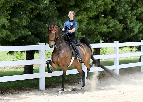 6/24/2018 CCEC Horse Show & Open House | Sunday Early Afternoon Classes