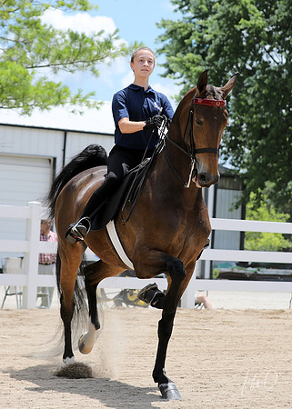 6/24/2018 CCEC Horse Show & Open House | Sunday Early Afternoon Classes