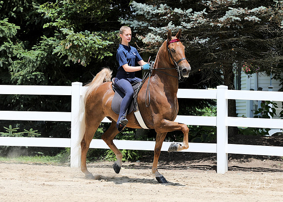 6/24/2018 CCEC Horse Show & Open House | Sunday Early Afternoon Classes