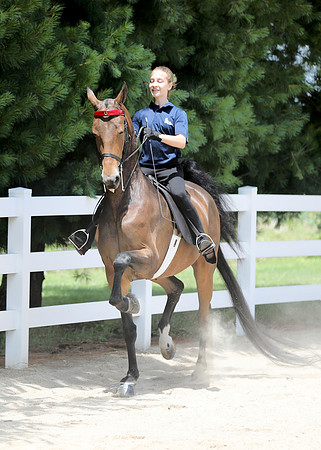 6/24/2018 CCEC Horse Show & Open House | Sunday Early Afternoon Classes