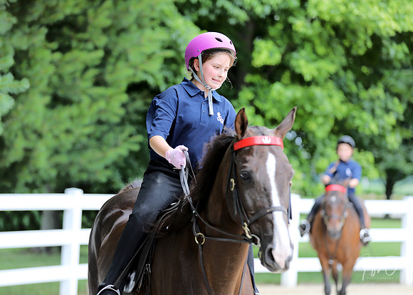 6/24/2018 CCEC Horse Show & Open House | Sunday Late Afternoon Classes