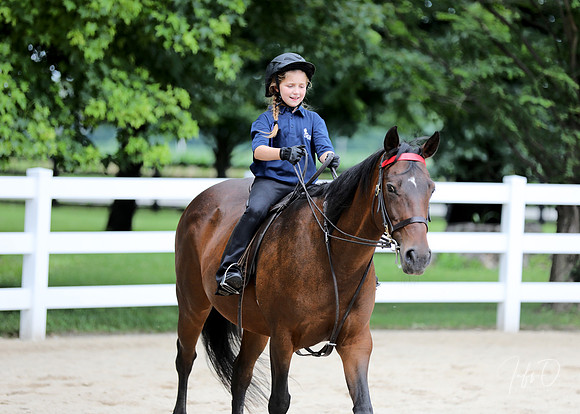 6/24/2018 CCEC Horse Show & Open House | Sunday Late Afternoon Classes