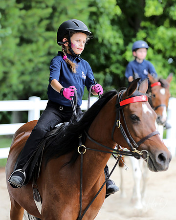 6/24/2018 CCEC Horse Show & Open House | Sunday Late Afternoon Classes