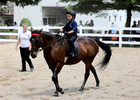 6/24/2018 CCEC Horse Show & Open House | Sunday Late Afternoon Classes
