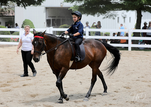 6/24/2018 CCEC Horse Show & Open House | Sunday Late Afternoon Classes