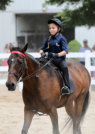 6/24/2018 CCEC Horse Show & Open House | Sunday Late Afternoon Classes