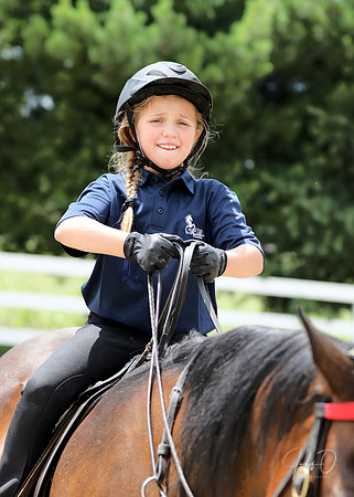 6/24/2018 CCEC Horse Show & Open House | Sunday Late Afternoon Classes