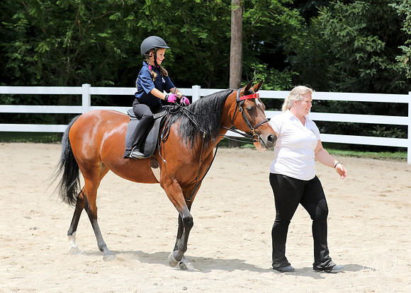 6/24/2018 CCEC Horse Show & Open House | Sunday Late Afternoon Classes