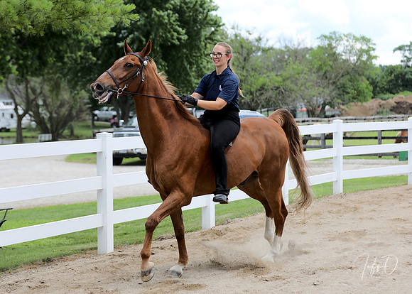 6/24/2018 CCEC Horse Show & Open House | Sunday Late Afternoon Classes