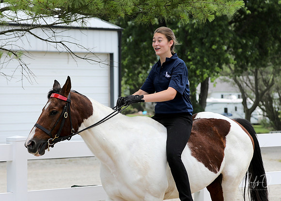 6/24/2018 CCEC Horse Show & Open House | Sunday Late Afternoon Classes