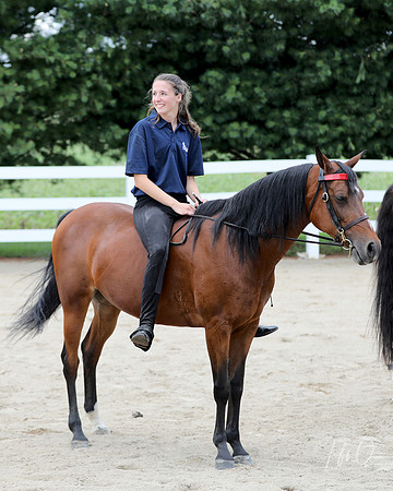 6/24/2018 CCEC Horse Show & Open House | Sunday Late Afternoon Classes