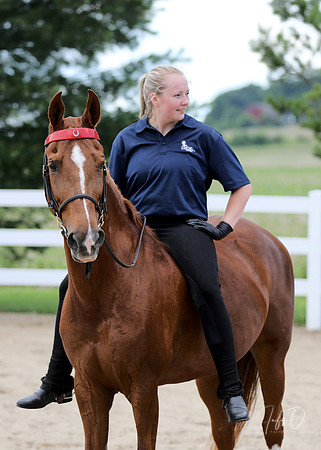 6/24/2018 CCEC Horse Show & Open House | Sunday Late Afternoon Classes