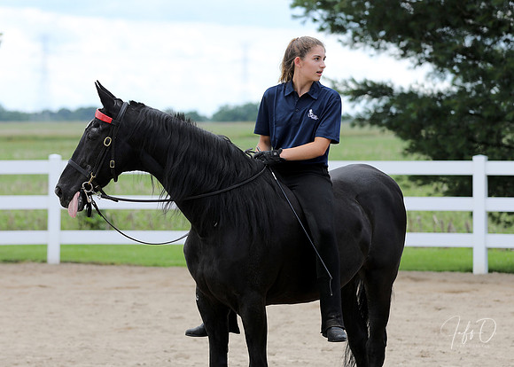 6/24/2018 CCEC Horse Show & Open House | Sunday Late Afternoon Classes