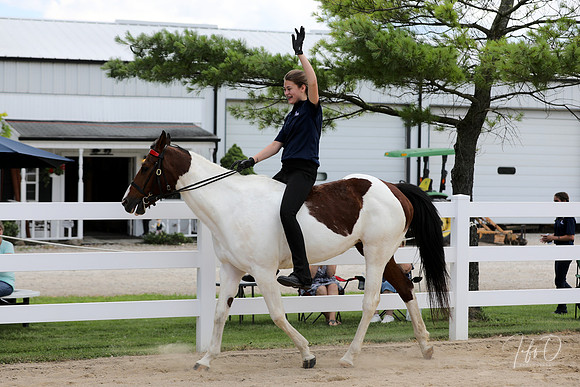 6/24/2018 CCEC Horse Show & Open House | Sunday Late Afternoon Classes