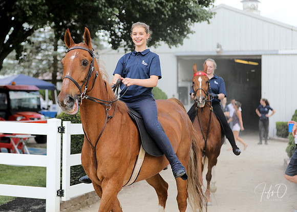 6/24/2018 CCEC Horse Show & Open House | Sunday Late Afternoon Classes