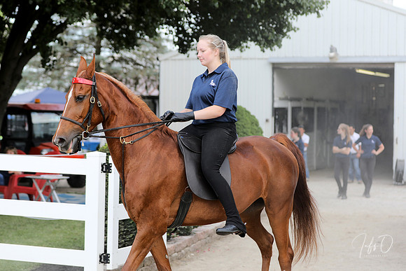 6/24/2018 CCEC Horse Show & Open House | Sunday Late Afternoon Classes