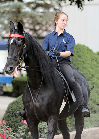 6/24/2018 CCEC Horse Show & Open House | Sunday Late Afternoon Classes