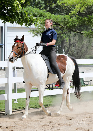 6/24/2018 CCEC Horse Show & Open House | Sunday Late Afternoon Classes