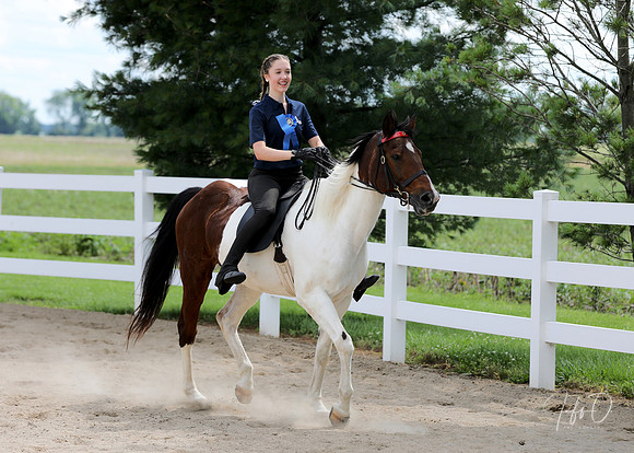 6/24/2018 CCEC Horse Show & Open House | Sunday Late Afternoon Classes