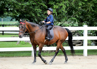 6/24/2018 CCEC Horse Show & Open House | Sunday Late Afternoon Classes