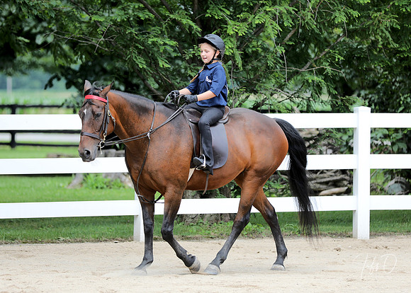 6/24/2018 CCEC Horse Show & Open House | Sunday Late Afternoon Classes