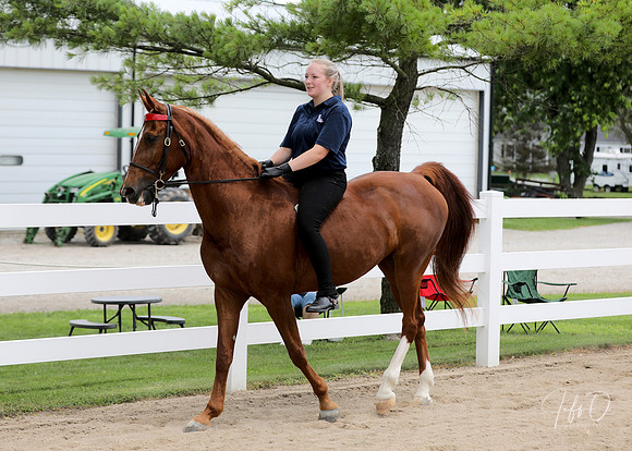 6/24/2018 CCEC Horse Show & Open House | Sunday Late Afternoon Classes