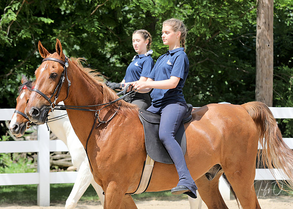 6/24/2018 CCEC Horse Show & Open House | Sunday Late Afternoon Classes