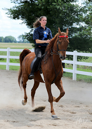 6/24/2018 CCEC Horse Show & Open House | Sunday Late Afternoon Classes