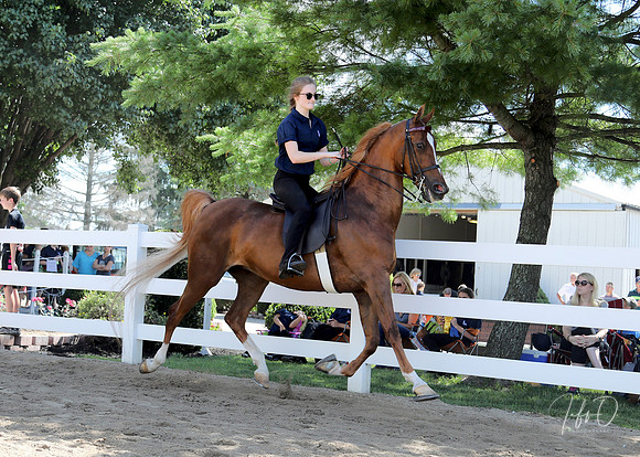 6/24/2018 CCEC Horse Show & Open House | Sunday Early Morning Classes